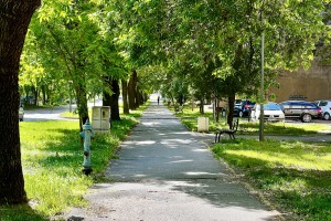 Šetnja Ulicom braće Radić