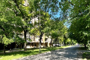 Šetnja Ulicom braće Radić