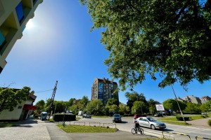 Šetnja Ulicom braće Radić