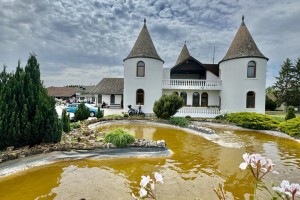 Prvi maj na ergeli Kelebija