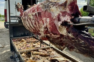 Prvi maj na ergeli Kelebija