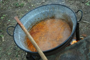 Proslava Praznika rada u Mini Jugoslaviji i otkrivanje spomenika Jovanu Mikiću