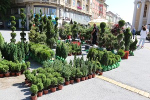 Prolećni Sajam cveća