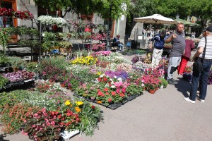 Prolećni Sajam cveća