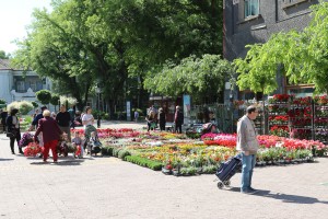 Prolećni Sajam cveća