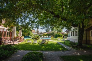 Terapija Shiatsu tehnikom na Paliću - Milan Čobanov (Energy Balance centar)