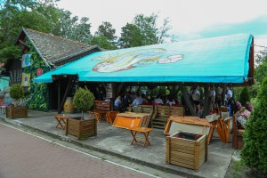 Pravna olimpijada, sportsko takmičenje na Paliću