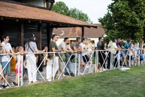 Let balonom iznad ergele "Kelebija"