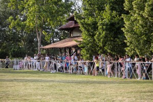 Let balonom iznad ergele "Kelebija"