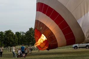 Let balonom iznad ergele "Kelebija"