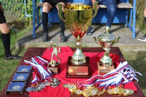 Fudbal: Uručenje pehara pobedniku Gradske fudbalske lige - FK "Lokomotiva"