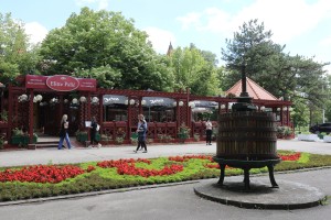 Stručni skup "Dani dr Svetomira Bojanina"