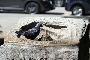 Obeležavanje Dana borca na Spomeniku Njihovoj vernosti