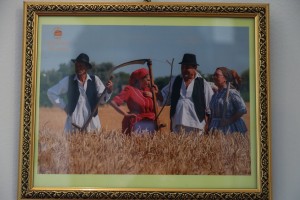 Obeležavanje "Dana Dužijance" - izložba fotografija i projekcija filma