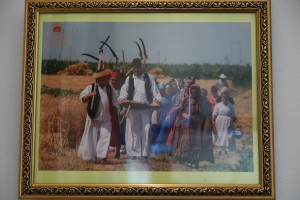 Obeležavanje "Dana Dužijance" - izložba fotografija i projekcija filma