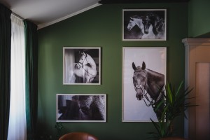 Predstavljanje novih jela u restoranu salaš Ergela Kelebija