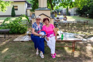 Dani Nikole Tesle 2024