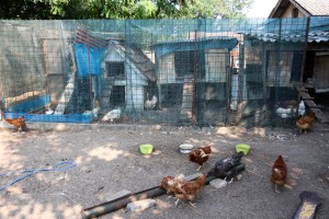 Razgovor povodom problema sa lisicama u MZ "Zorka"