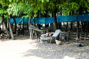 Razgovor povodom problema sa lisicama u MZ "Zorka"