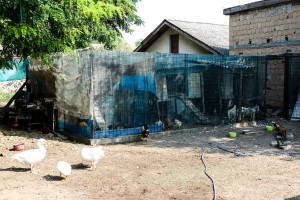 Razgovor povodom problema sa lisicama u MZ "Zorka"