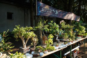 Summer3p 2024 - 3. dan