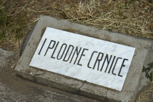 Spomenik "Nemirna ravnica"