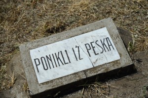 Spomenik "Nemirna ravnica"