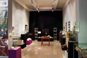 Geološka izložba "Šta se krije ispod ravnice?"