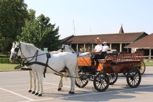 Potpisivanje Sporazuma između mađarske i srpske pošte