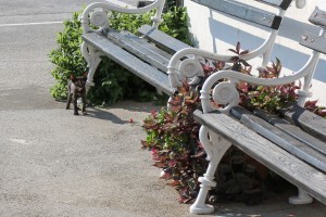 Potpisivanje Sporazuma između mađarske i srpske pošte