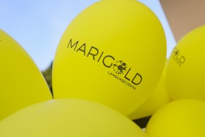 Škola jezika "Marigold" na novoj lokaciji