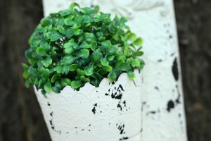 Etnopolis - štandovi u centru