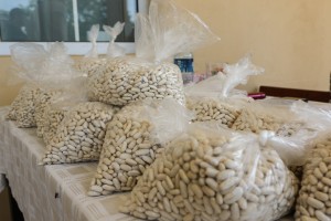 27. Pasuljijada u Tavankutu