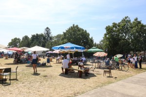 27. Pasuljijada u Tavankutu