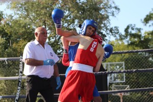 Boks: 42. Vojvođanska zlatna rukavica