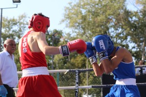 Boks: 42. Vojvođanska zlatna rukavica