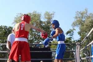 Boks: 42. Vojvođanska zlatna rukavica