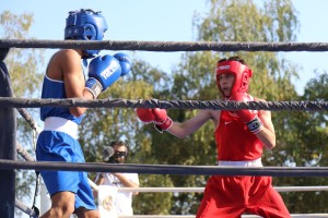 Boks: 42. Vojvođanska zlatna rukavica