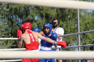 Boks: 42. Vojvođanska zlatna rukavica