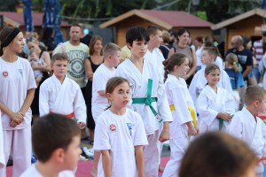 Zavičajni dani - konferencija beba i festival sporta