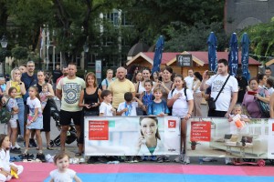 Zavičajni dani - konferencija beba i festival sporta