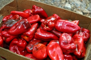 Pečenje paprike u domu porodice Stojiljković