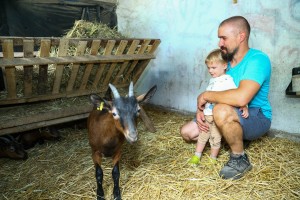 "Male, ali zdrave farme" - organska farma na periferiji Subotice