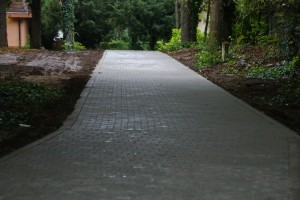 Poseta predsednika Skupštine Vojvodine Vikend naselju na Paliću