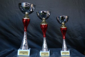 "BeActive" noć u parku Prozivka