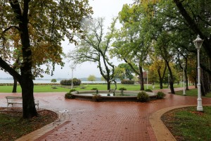 XII Škola Društva mladih neurologa Srbije