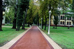 XII Škola Društva mladih neurologa Srbije