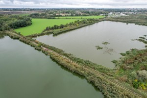 Invazivna biljka "vodena salata" primećena u prvom sektoru Palićkog jezera