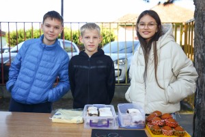 Humanitarna kolačijada