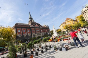 Manifestacija "Cvetna jesen u Subotici"